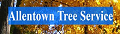 Allentown Tree Service LLC