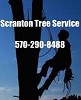 Scranton Tree Service