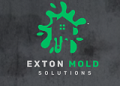 Mold Removal Exton Solutions